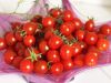 PREMIUM HAND-PICKED CHERRY TOMATOES IN RICH TOMATO SAUCE - CANNED FOR FRESHNESS