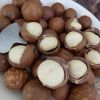 HIGH-QUALITY MACADAMIA NUTS IN VIETNAM - SHELLED/ UNSHELLED - TOP NUT FOR YOU