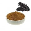 TOP GRADE VIETNAM SEA CUCUMBER POWDER FOR HEALTHY LIVING AND BODY STRENGTH