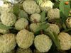 FRESH ORGANIC CUSTARD APPLE FRUIT FROM VIETNAM - PREMIUM FRUIT FOR DESSERTS