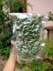 VIETNAM ORIGIN FROZEN GREEN PEPPER - ENHANCE YOUR DISHES WITH SPICY FRESHNESS - NATURAL FLAVOR IN EVERY BITE
