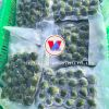 VIETNAM DRIED/ FRESH AND FROZEN BETEL NUT SUPPLIER - HIGH GRADE NUTS FOR HERBAL, COSMETIC AND FOOD