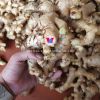 PREMIUM FRESH GINGER FROM VIETNAM - NATURAL SPICE FOR COOKING AND HEALING