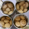 CANNED BUTTON MUSHROOMS / VERSATILE AND READY TO USE / MADE IN VIETNAM