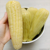 NATURAL FROZEN STICKY CORN / SWEET AND NUTRITIOUS / MADE IN VIETNAM