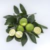 EXOTIC SEEDLESS LIME / HAND-HARVESTED AND RICH IN VITAMIN C / MADE IN VIETNAM