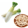 100% NATURAL DRIED WHITE RADISH / FRESH & FLAVORFUL / BEST PRICE / MADE IN VIETNAM