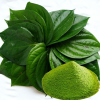 BETEL LEAF POWDER / TRADITIONAL HERB FOR MULTIPLE USES / MADE IN VIETNAM