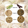 NATURAL BAGASSE SILAGE / HIGH-QUALITY LIVESTOCK FEED / MADE IN VIETNAM