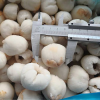 EXOTIC FROZEN LYCHEE / PERFECT FOR DESSERTS, DRINKS, & MORE / MADE IN VIETNAM