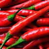 PREMIUM FRESH CHILI / ...