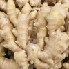 PREMIUM FRESH GINGER /...