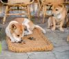 NATURAL COCONUT FIBER PET RUG / SOFT TEXTURE FOR PETS / MADE IN VIETNAM