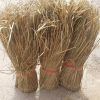 ECO-FRIENDLY SEAGRASS ...