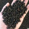 PREMIUM BLACK PEPPER WHOLE / RICH & AROMATIC / MADE IN VIETNAM