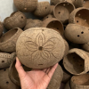 COCONUT SHELL GROW POTS / SUSTAINABLE FOR SEEDLINGS / MADE IN VIETNAM