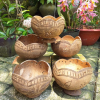 COCONUT SHELL GROW POTS / SUSTAINABLE FOR SEEDLINGS / MADE IN VIETNAM