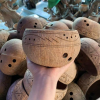 COCONUT SHELL GROW POTS / SUSTAINABLE FOR SEEDLINGS / MADE IN VIETNAM