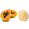 100% PURE PAPAYA POWDER / HIGH QUALITY & NO PRESERVATIVES / WHOLESALE BULK DEAL / MADE IN VIETNAM 