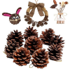 ORGANIC DRIED PINE CONES / IDEAL FOR SEASONAL AND HOME DECOR / MADE IN VIETNAM