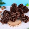 DECORATIVE PINE CONES / NATURAL AESTHETIC FOR HOME AND EVENTS / MADE IN VIETNAM