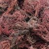 100% NATURAL PURPLE SEAMOSS / SOURCE OF ESSENTIAL NUTRIENTS / MADE IN VIETNAM