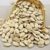 ALL-NATURAL SALT ROASTED PUMPKIN SEEDS / CRUNCHY GOODNESS / MADE IN VIETNAM