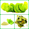 NATURAL CENTELLA ASIATICA POWDER / PREMIUM HERBAL QUALITY / AFFORDABLE PRICES FOR WHOLESALE / MADE IN VIETNAM 