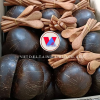 ECO-FRIENDLY HANDMADE COCONUT SHELL BOWL / NATURAL & STURDY / AFFORDABLE PRICES / MADE IN VIETNAM 