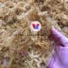 ORGANIC DRIED SEAMOSS / ECO-FRIENDLY & MULTI-PURPOSE / LOW-COST BULK SUPPLY / MADE IN VIETNAM 