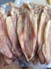 TOP-GRADE DRIED SQUID / RICH FLAVOR & NATURAL DRYING / BEST FACTORY SUPPLY PRICES / MADE IN VIETNAM