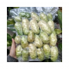 FROZEN NONI FRUIT / PREMIUM QUALITY FROM VIETNAM / MADE IN VIETNAM