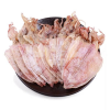 TOP-GRADE DRIED SQUID / RICH FLAVOR & NATURAL DRYING / BEST FACTORY SUPPLY PRICES / MADE IN VIETNAM