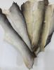 BLACK PEPPER DRIED PANGASIUS FISH SKIN / AROMATIC AND BOLD / MADE IN VIETNAM