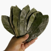 SOURSOP LEAVES, NATURALLY DRIED / IDEAL FOR HERBAL REMEDIES / MADE IN VIETNAM