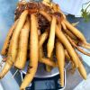 FRESH-FROZEN FINGERROOT / ESSENTIAL FOR HEALTHY COOKING / MADE IN VIETNAM