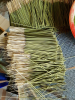 EUCALYPTUS INCENSE STICKS / RELAXING FRAGRANCE / HIGH PURITY / AFFORDABLE OPTION