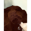 COFFEE GROUNDS FOR HOME USE / GARDENING, SKINCARE & DIY PROJECTS