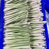 PREMIUM QUALITY FRESH LEMONGRASS / FAMILY RECIPE / AFFORDABLE VALUE / MADE IN VIETNAM