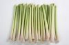 PREMIUM QUALITY FRESH LEMONGRASS / FAMILY RECIPE / AFFORDABLE VALUE / MADE IN VIETNAM