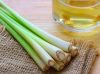 CRISP AND AROMATIC FRE...