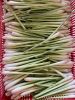 PREMIUM QUALITY FRESH LEMONGRASS / FAMILY RECIPE / AFFORDABLE VALUE / MADE IN VIETNAM