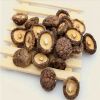 TENDER AND SAVORY SHIITAKE MUSHROOMS / FARM FRESH / AFFORDABLE TASTE / PRODUCED IN VIETNAM