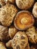 TENDER AND SAVORY SHIITAKE MUSHROOMS / FARM FRESH / AFFORDABLE TASTE / PRODUCED IN VIETNAM