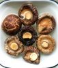 TENDER AND SAVORY SHIITAKE MUSHROOMS / FARM FRESH / AFFORDABLE TASTE / PRODUCED IN VIETNAM