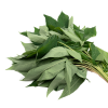 WHOLE FRESH CASSAVA LEAVES / VIBRANT GREEN / ORGANIC & HEALTHY / PREMIUM GRADE / MADE IN VIETNAM