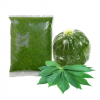 FROZEN MANIOC LEAVES / HIGH NUTRITION / READY TO USE / PURE NATURAL FLAVOR / MADE IN VIETNAM