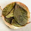 ALL-NATURAL DRIED AVOCADO LEAVES / FRAGRANT AND PURE / GREAT WHOLESALE PRICE / MADE IN VIETNAM