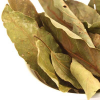 ALL-NATURAL DRIED AVOCADO LEAVES / FRAGRANT AND PURE / GREAT WHOLESALE PRICE / MADE IN VIETNAM