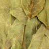 ALL-NATURAL DRIED AVOCADO LEAVES / FRAGRANT AND PURE / GREAT WHOLESALE PRICE / MADE IN VIETNAM